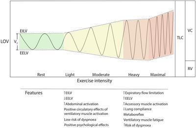 Breath Tools: A Synthesis of Evidence-Based Breathing Strategies to Enhance Human Running